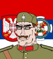 blue_eyes brown_hair collaborator eagle fascism flag flag:serbia government_of_national_salvation mustache serbia serbian_volunteer_corps soldier subvariant:perceptive_chud variant:chudjak world_war_2 // 516x572 // 204.6KB