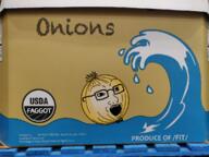 fit_(4chan) onions organic // 1152x864 // 1.3MB