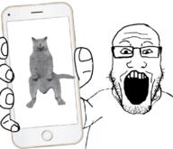 aarons_animals animal arm cat cat_whips_it clothes glasses hand holding_object holding_phone iphone open_mouth phone soyjak stubble subvariant:phoneplier subvariant:phoneplier_vertical tshirt variant:markiplier_soyjak // 796x685 // 291.6KB
