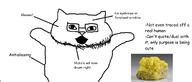 animal antialiasing brimstone cat catjak diagram gem glasses meta:not_a_soyjak open_mouth stubble trvthnvke // 1253x535 // 127.4KB