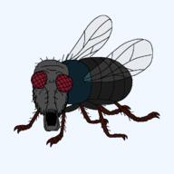animal bug compound_eyes fly full_body hairy open_mouth soyjak variant:a24_slowburn_soyjak wing // 1200x1200 // 24.2KB