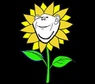black_background closed_mouth ear flower plant smile stubble sunflower variant:impish_soyak_ears yellow // 678x600 // 90.3KB