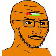 arab brown_skin closed_mouth concerned country flag frown glasses jordan mustache soyjak stubble variant:classic_soyjak // 378x378 // 32.4KB