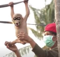 animal animal_abuse arm baby_monkey_torture beret clothes facemask full_body glasses hand hat holding_object leg mask monkey open_mouth stubble variant:unknown // 370x355 // 156.7KB