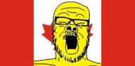 asian canada canadian country flag glasses mustache open_mouth small_eyes soyjak stubble variant:a24_slowburn_soyjak yellow yellow_skin // 600x296 // 98.6KB