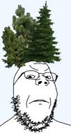 angry clothes frown glasses hair hat pine plant soyjak stubble transparent tree variant:gapejak // 730x1372 // 630.7KB