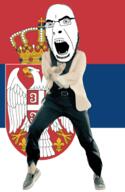 angry animated bird country cross crown dance flag flag:serbia full_body gangnam_style glasses irl open_mouth serbia shield soyjak stubble variant:cobson // 300x460 // 510.8KB