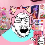 amy_rose angry clothes drawing drink energy_drink flag glasses hand hat holding_object irl_background lesbian monster_energy open_mouth pink_hair poster sega sonic sonic_the_hedgehog soyjak stubble tranny tshirt variant:feraljak video_game // 1489x1500 // 2.1MB