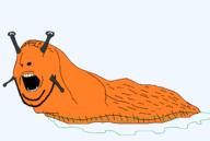 animal antenna full_body open_mouth orange_skin slug soyjak stubble variant:cobson // 2264x1518 // 78.1KB
