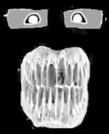 bad_teeth glasses horror jumpscare screamer shocked variant:science_lover video you_were_one_i_ker // 150x184, 56.8s // 1.8MB