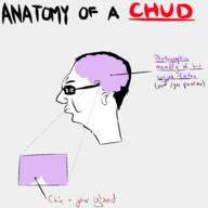 anatomy angry brain chud closed_mouth diagram ear glasses hair qa_(4chan) redraw side_profile soyjak text variant:chudjak // 2000x2000 // 53.1KB