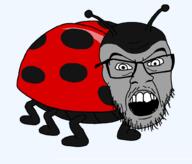 angry animal antenna bug full_body glasses ladybug open_mouth soyjak stubble variant:feraljak // 1000x855 // 30.4KB