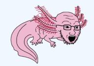 animal axolotl full_body glasses open_mouth pink_skin soyjak stubble variant:soyak // 1500x1050 // 34.0KB