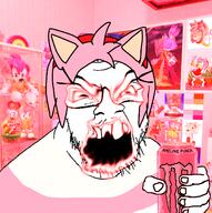 amy_rose angry blaze_the_cat clothes distorted drawing drink energy_drink flag glasses hand hat holding_object irl_background lesbian monster_energy open_mouth pink_hair poster sega sonic sonic_the_hedgehog soyjak stubble tranny tshirt variant:feraljak video_game // 1489x1500 // 1.2MB