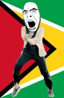 angry animated country dance flag full_body gangnam_style glasses guyana irl open_mouth soyjak stubble variant:cobson // 300x460 // 500.6KB