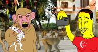 3soyjaks ack angry animal animal_abuse asian baby blood buck_teeth cat china closed_mouth clothes crying evil flag:singapore holding_object holding_phone judaism monkey mustache open_mouth phone scar singapore soyjak starving subhuman text tongue variant:bernd variant:chudjak variant:feraljak yellow_skin yellow_teeth youtube // 4169x2210 // 3.4MB