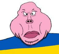 angry closed_mouth country flag flag:ukraine hohol oink pig pink_skin snout stubble subvariant:meximutt_front ukrainene variant:meximutt // 918x845 // 21.6KB