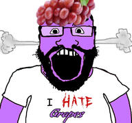 beard clothes food foodjak fruit fume glasses grape hat i_hate open_mouth purple_skin smoke soyjak text tshirt variant:science_lover // 427x400 // 112.0KB