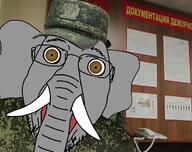 brown_eyes camouflage clothes elephant glasses hat irl_background military open_mouth russia soyjak stubble variant:bernd // 709x563 // 144.3KB