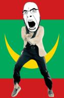 angry animated country crescent dance flag full_body gangnam_style glasses irl mauritania open_mouth soyjak star_and_crescent stubble variant:cobson // 300x460 // 502.1KB