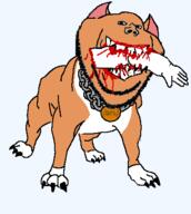 an_(4chan) arm blood chain dog gore pitbull variant:impish_soyak_ears // 380x424 // 25.2KB