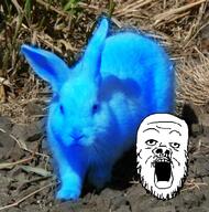animal blue irl_background mustache open_mouth rabbit soyjak stubble variant:a24_slowburn_soyjak // 400x405 // 282.3KB