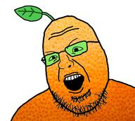 food froot froot_(user) fruit orange orange_skin variant:shotjak wojak // 417x375 // 155.5KB