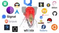 arch_linux blood brave_browser chromium clenched_teeth debian duckduckgo fedora_linux flatpak fume github glasses graphene_os linux mullvad qubes_os red_eyes red_face signal soyjak stubble technology ubuntu variant:feraljak vein wayland whonix yellow_teeth // 1920x1080 // 683.2KB