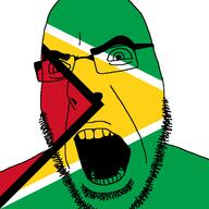 angry country flag glasses guyana open_mouth soyjak stubble variant:cobson // 721x720 // 35.8KB