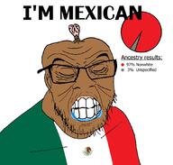 brainlet brown_skin countrywar drool flag:mexico glasses its_over mexico pie_chart shitskin soyjak stubble text variant:feraljak // 1076x1024 // 233.7KB