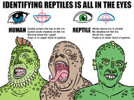3soyjaks alien brown_skin closed_mouth ear fangs green_skin infographic open_mouth redraw reptile reptilian schizoposting sharp_teeth soyjak text tongue variant:fatjak variant:gapejak variant:unknown yellow_eyes // 1333x1000 // 398.5KB