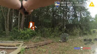animal axe body_cam forest glasses open_mouth police_activity soyjak squirrel subvariant:feralsquirrel tail variant:feraljak // 1280x720 // 262.3KB