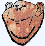 closed_mouth ear rust smile soyjak stubble variant:impish_soyak_ears // 1148x1192 // 1.8MB