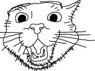 animal cat open_mouth soyjak stubble variant:unknown // 1193x892 // 284.2KB