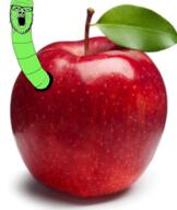 apple bug food fruit glasses green irl mustache open_mouth soyjak stubble variant:a24_slowburn_soyjak worm // 800x950 // 710.8KB