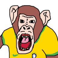 brazil clothes ear open_mouth redraw soccer soyjak variant:monkeyjak // 500x500 // 20.2KB