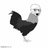 animal animated bird bloodshot_eyes chicken crying feather full_body glasses japanese_text leg open_mouth poyopoyo rooster soyjak stubble text urouro variant:classic_soyjak // 400x400 // 462.3KB