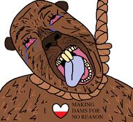 ack beaver big_teeth bloodshot_eyes flag:poland kurwa meta:tagme poland rope tear tongue variant:gapejak // 768x709 // 65.7KB