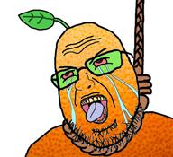 crying food froot froot_(user) fruit hanging orange orange_skin variant:shotjak wojak // 417x380 // 160.8KB