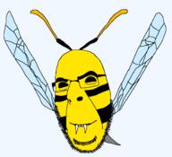 antenna bug glasses smile soyjak stubble variant:cobson wasp wing // 1312x1193 // 56.5KB