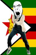 angry animated bird country dance flag full_body gangnam_style glasses irl open_mouth soyjak star stubble variant:cobson zimbabwe // 300x460 // 504.0KB