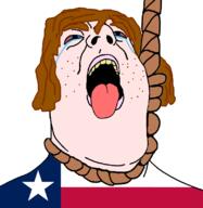 acne bloodshot_eyes blue_eyes brown_hair crying flag hair hanging noose open_mouth rope soyjak suicide texas tongue united_states variant:hydejak yellow_teeth // 778x800 // 90.3KB