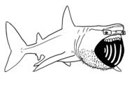basking_shark fish glasses open_mouth shark soyjak stubble variant:unknown // 1200x788 // 75.0KB