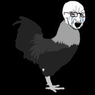 animal animated bloodshot_eyes chicken crying fast gif glasses open_mouth rooster running soyjak stubble variant:classic_soyjak // 1200x1200 // 766.6KB