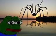 arm bug crossed_arms foot frog glasses hand irl irl_background pepe sitting smile soyjak spider stubble subvariant:wholesome_soyjak sunset variant:gapejak // 6403x4218 // 1.6MB