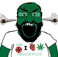 420 beard clothes glasses green_skin hair i_love nazi nigger open_mouth smoke soyjak swastika tshirt variant:science_lover weed // 800x789 // 134.0KB