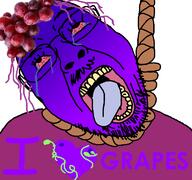 bloodshot_eyes clothes crying dead food fruit fruitjak glasses gradient grape hair hanging hat heart i_love open_mouth purple_hair purple_skin rope soyjak stubble suicide text tongue variant:gapejak_front yellow_teeth // 768x719 // 179.4KB
