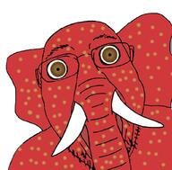 animal brown_eyes elephant glasses open_mouth soyjak strawberry stubble variant:bernd // 1024x1009 // 695.4KB