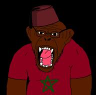 clothes country ear fangs fez flag glasses hat morocco open_mouth soyjak star stubble teeth tongue tshirt variant:monkeyjak // 720x711 // 112.7KB