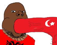 albania blowjob brown_skin country flag gay nsfw open_mouth penis pubic_hair rope stubble turkiye variant:gapejak vein veiny_cock // 1056x836 // 186.8KB